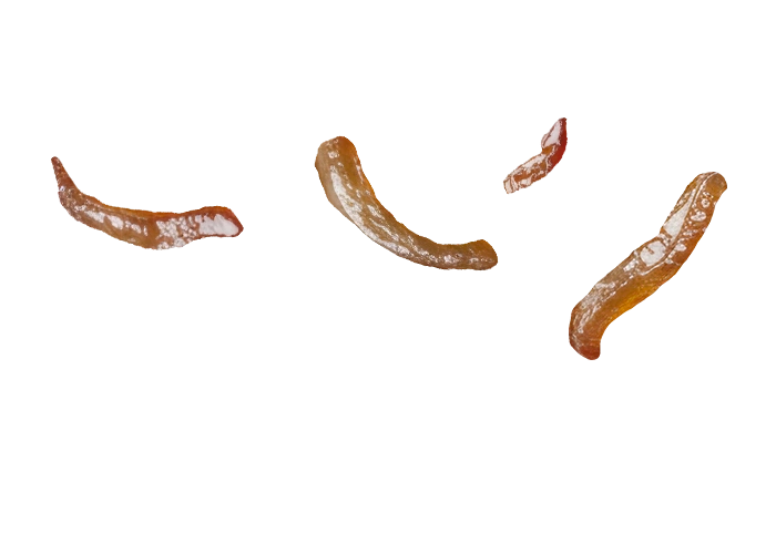 Extras Cebollas toreadas